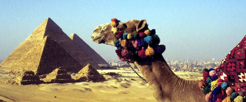 Seabourn - Sailing on a Cruise to Arabia Africa Fall